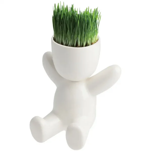 Набор для выращивания Funky