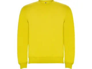 Свитшот с начесом «Clasica» детский