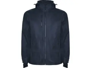 Парка «Alaska» мужская