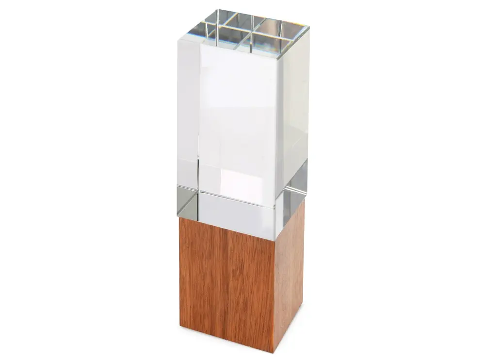 Награда «Wood and glass» — изображение 2