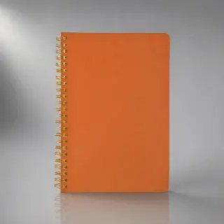 Бизнес тетрадь А5 «Pragmatic»